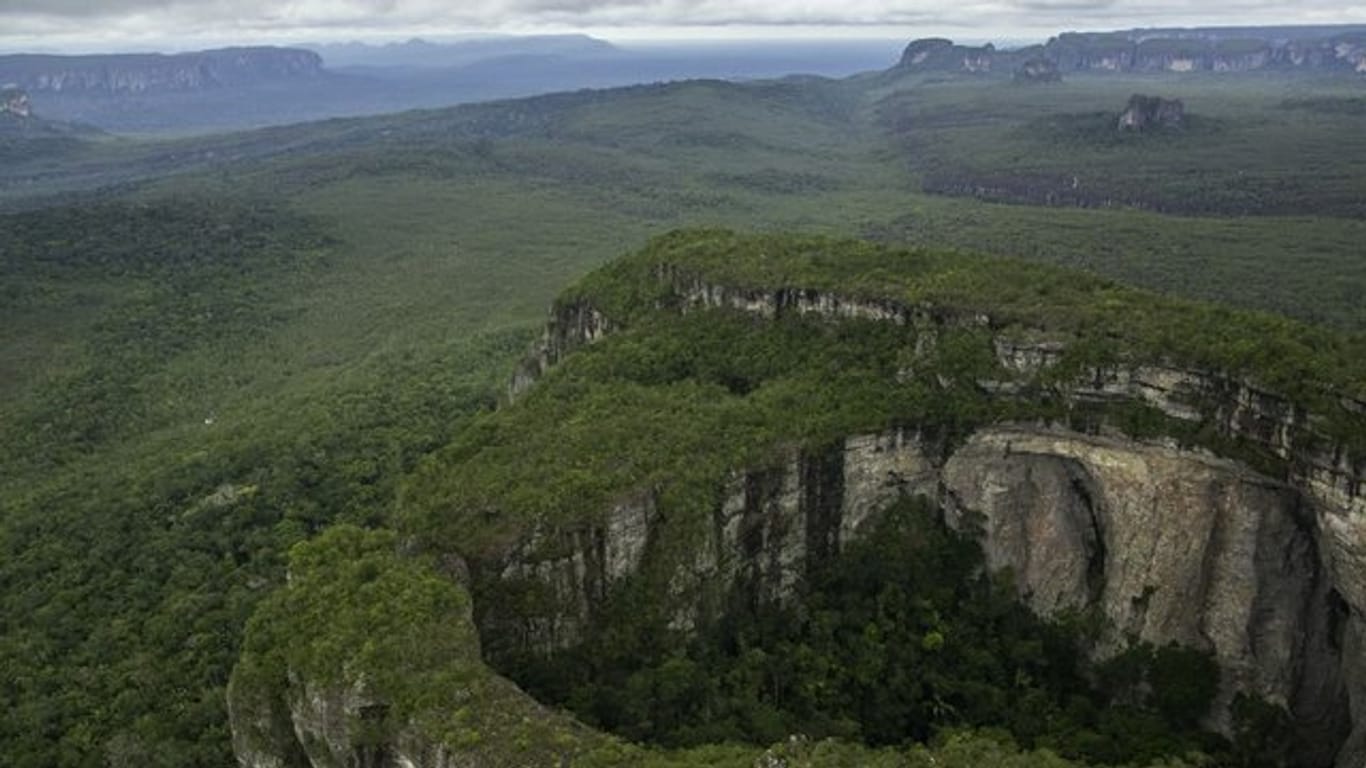 Der Serranía-de-Chiribiquete-Nationalpark in Kolumbien liegt zwischen Orinoco-Ebene, Anden und dem Amazonas-Gebiet.