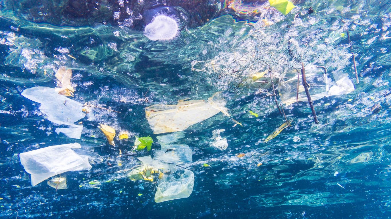 Plastiktüten, -flaschen und -becher im Meer: Bis zu 500.000 Tonnen Plastikmüll landen jedes Jahr in den Meeren.