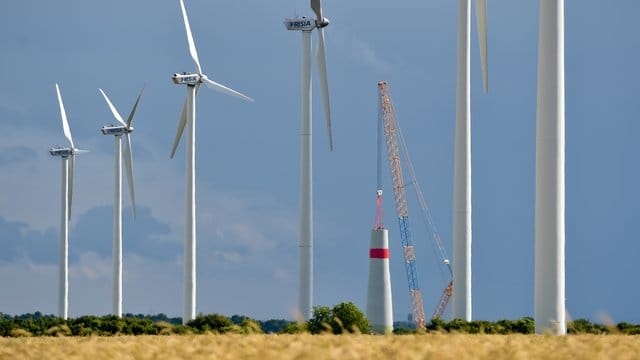 Hinter bereits bestehenden Windenergieanlagen im Landkreis Oder-Spree wird ein neues 200 Meter hohes Windrad errichtet. Hinter bereits bestehenden Windenergieanlagen im Landkreis Oder-Spree wird ein neues 200 Meter hohes Windrad errichtet.