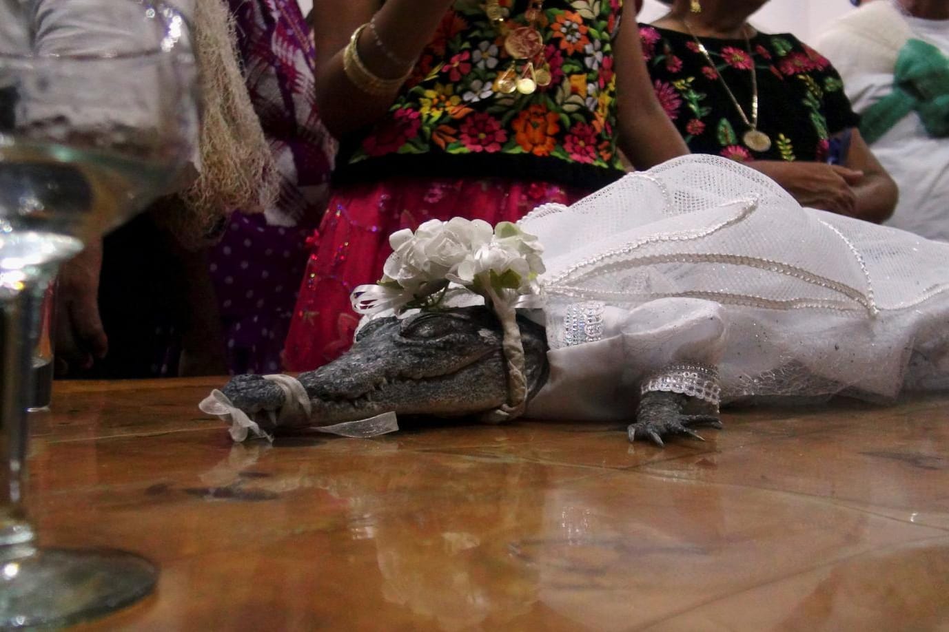 Ein Krokodil in traditioneller Brautkleidung in Mexiko: Die Zeremonie ist Bestandteil eines alten Rituals zu Ehren eines Heiligen.