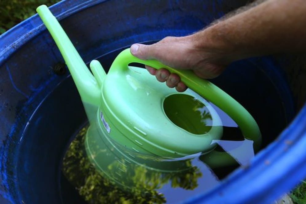 Regenwasser im Garten aufzufangen ist eine sinnvolle Sache im Sommer.