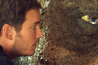 Dinosaurierflüsterer Owen (Chris Pratt) bei der Arbeit.