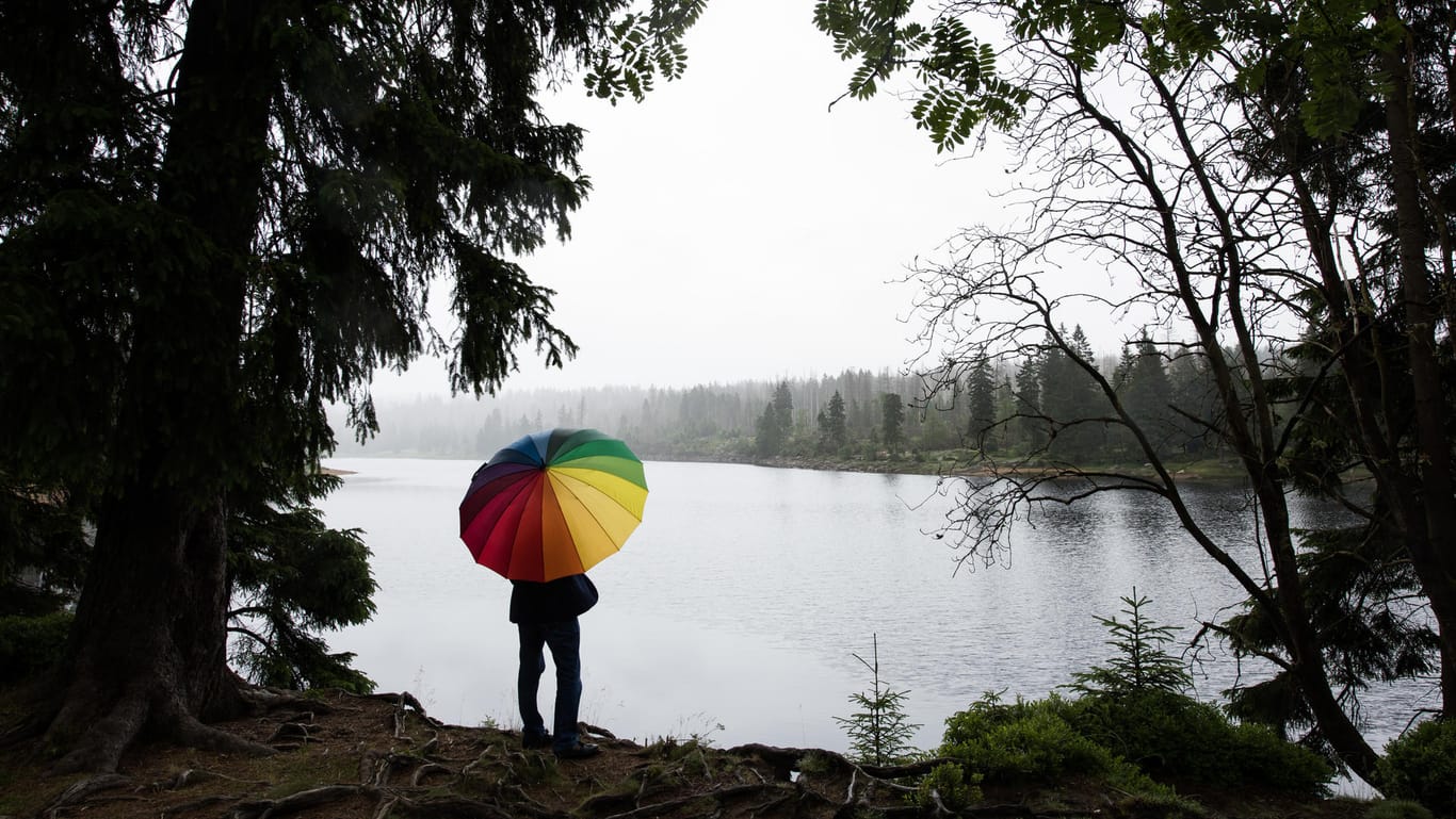 Ein Spaziergänger steht einsam an einem See im Oberharz: Zum Wochenstart gibt es in Deutschland viel Regen.