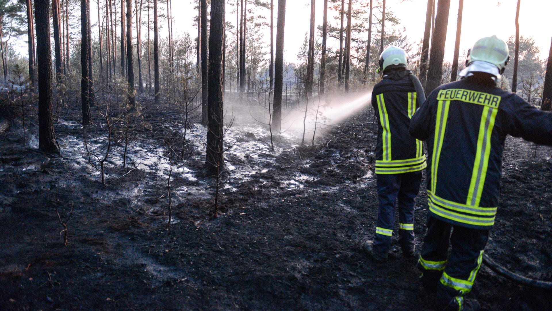 Feuerwehrleute löschen Glutnester auf dem ehemaligen Truppenübungsplatz in Südbrandenburg. Nun ist dort erneut ein Brand ausgebrochen. Feuerwehrleute löschen Glutnester auf dem ehemaligen Truppenübungsplatz in Südbrandenburg. Nun ist dort erneut ein Brand ausgebrochen.