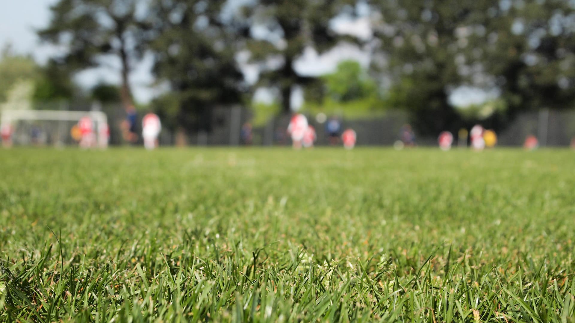 Rasen mit Fußballspielern im Hintergrund.