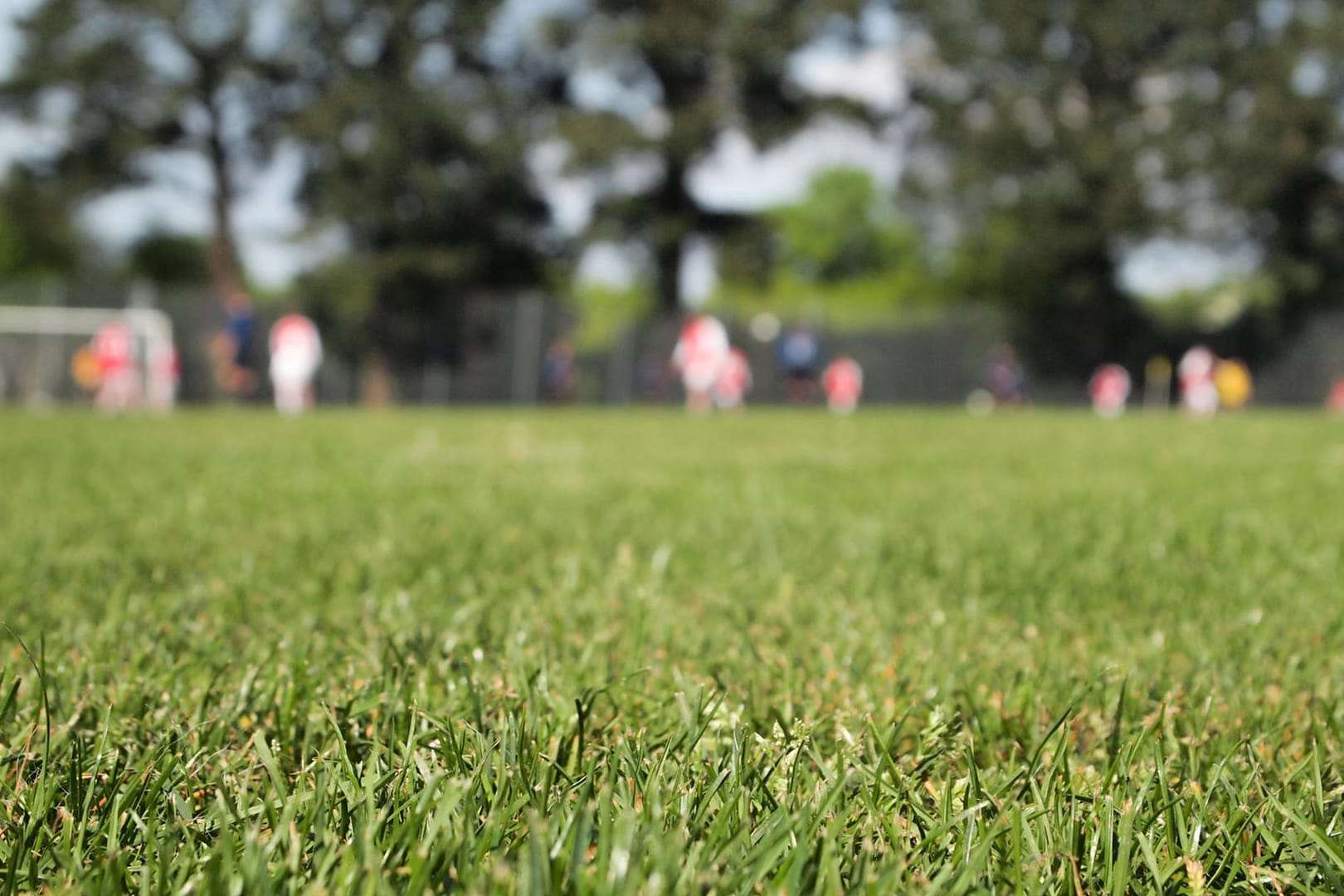 Rasen mit Fußballspielern im Hintergrund.