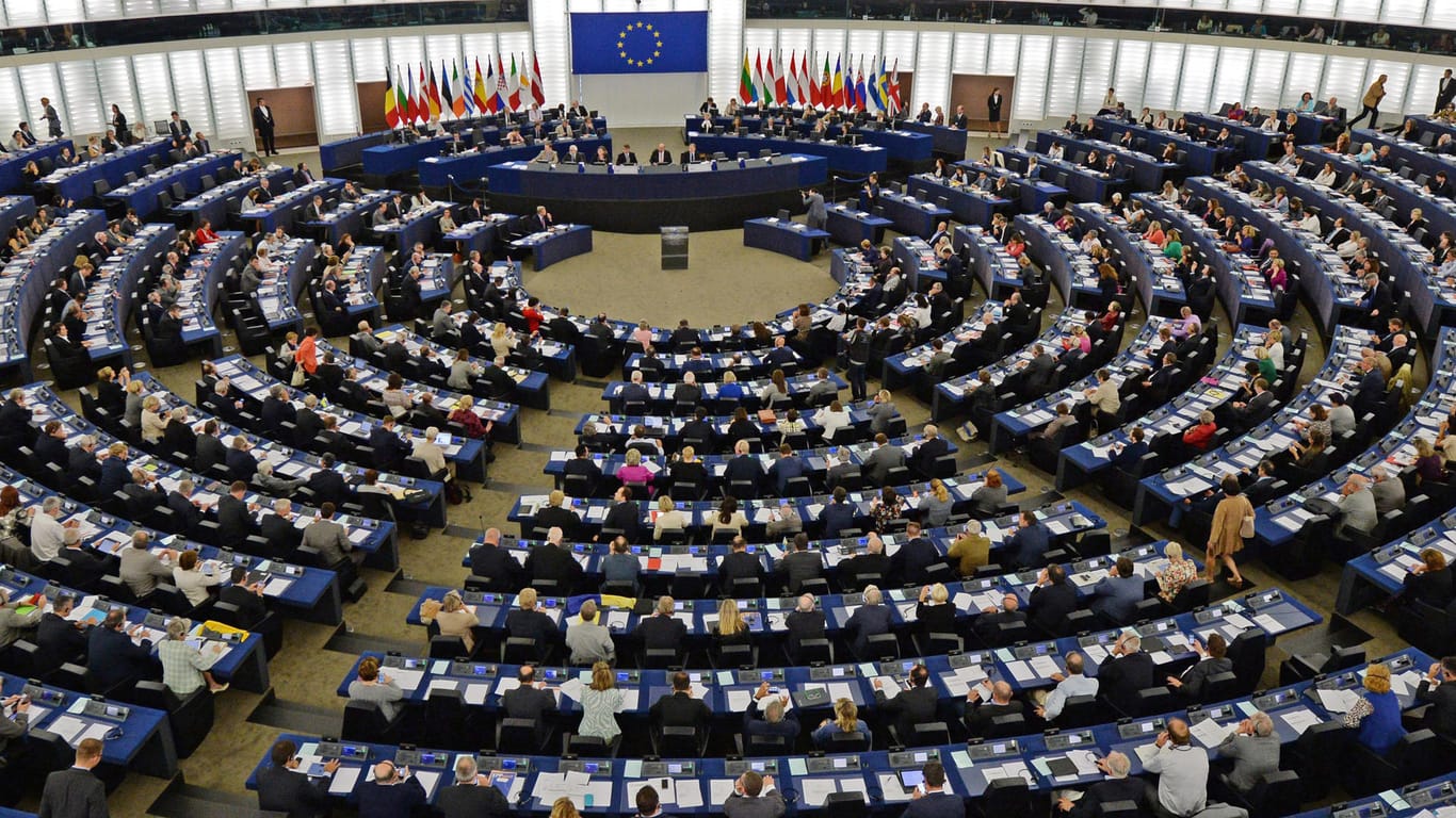 Das Europaparlament in Straßburg: Viele Politiker haben noch einen Nebenjob.