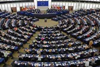 Das Europaparlament in Straßburg: Viele Politiker haben noch einen Nebenjob.