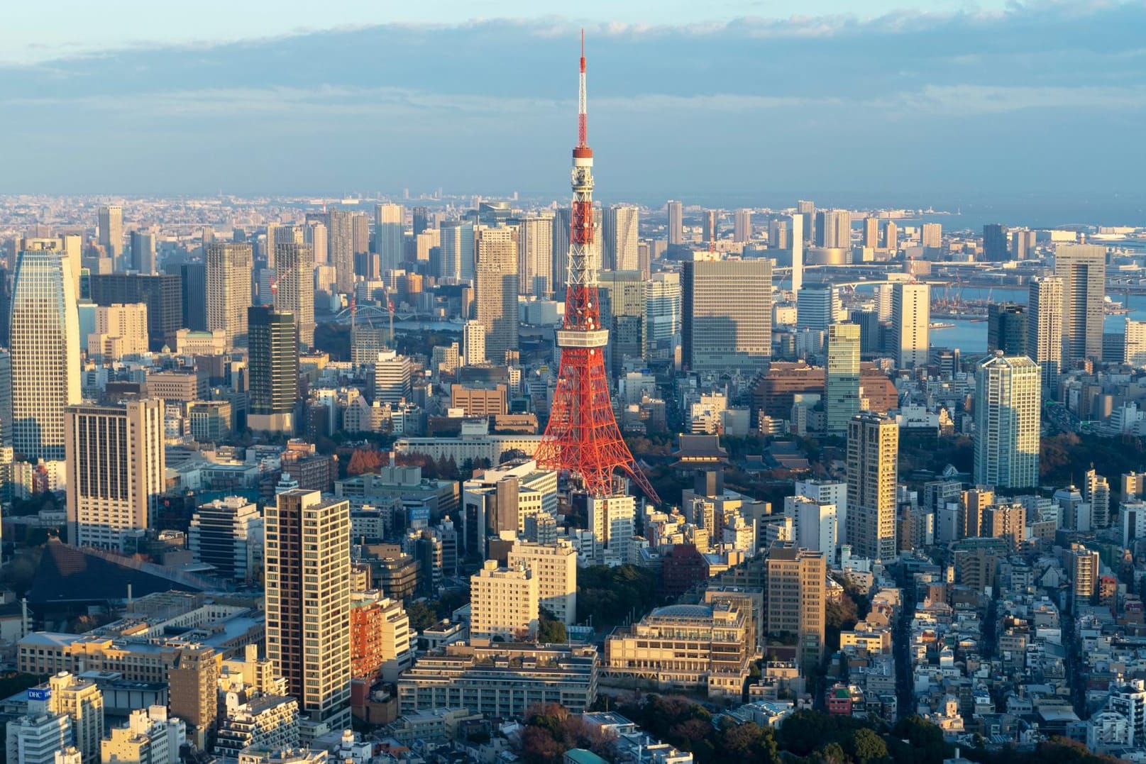 Stadtpanorama Tokio: Die japanische Stadt gilt derzeit an der Einwohnerzahl gemessen als größte Stadt der Welt.