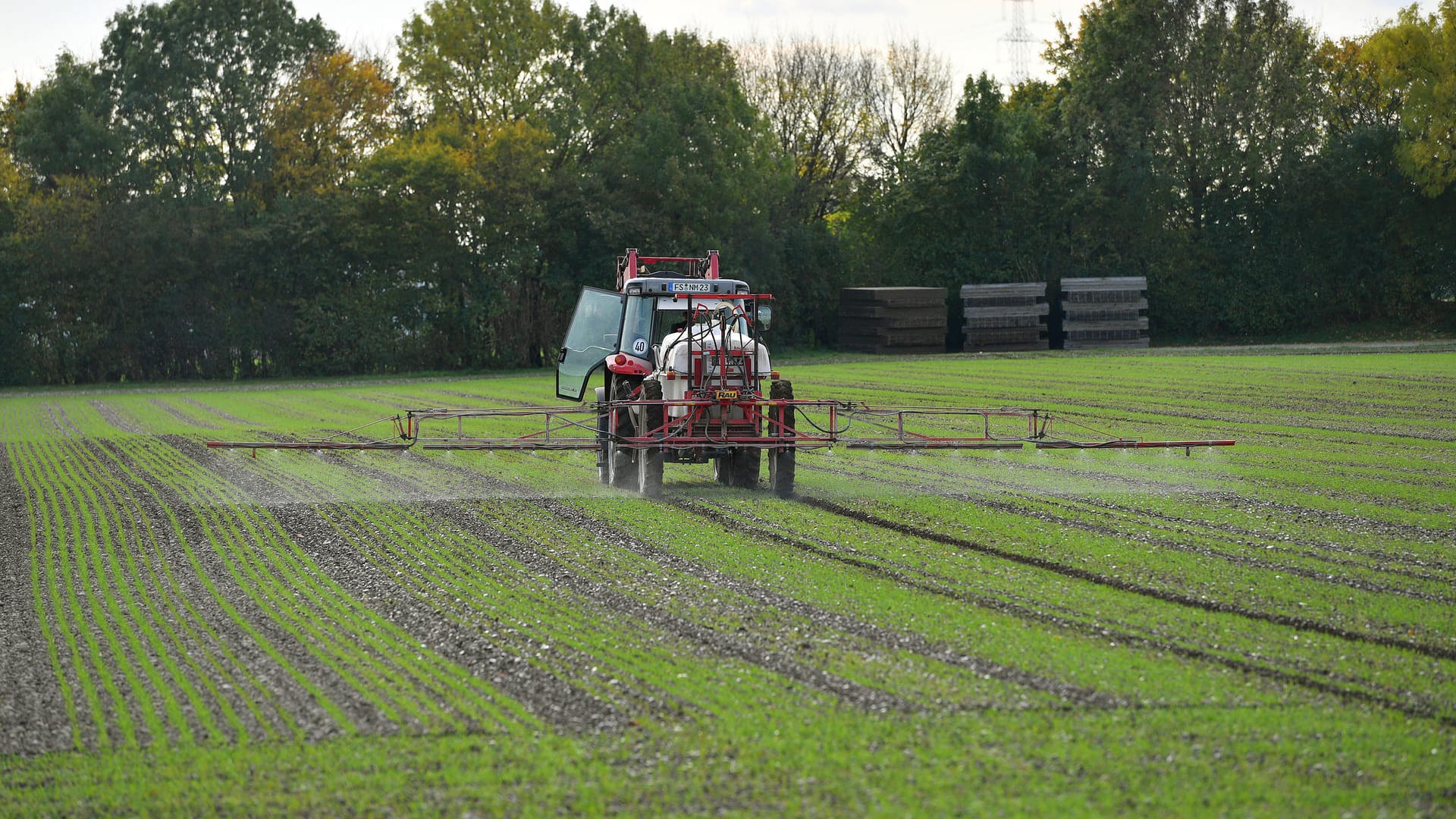 Ein Landwirt bringt das Pflanzenschutzmittel Glyphosat auf einem Feld aus: Löst das Pflanzengift Krebs aus? Ein Landwirt bringt das Pflanzenschutzmittel Glyphosat auf einem Feld aus: Löst das Pflanzengift Krebs aus?
