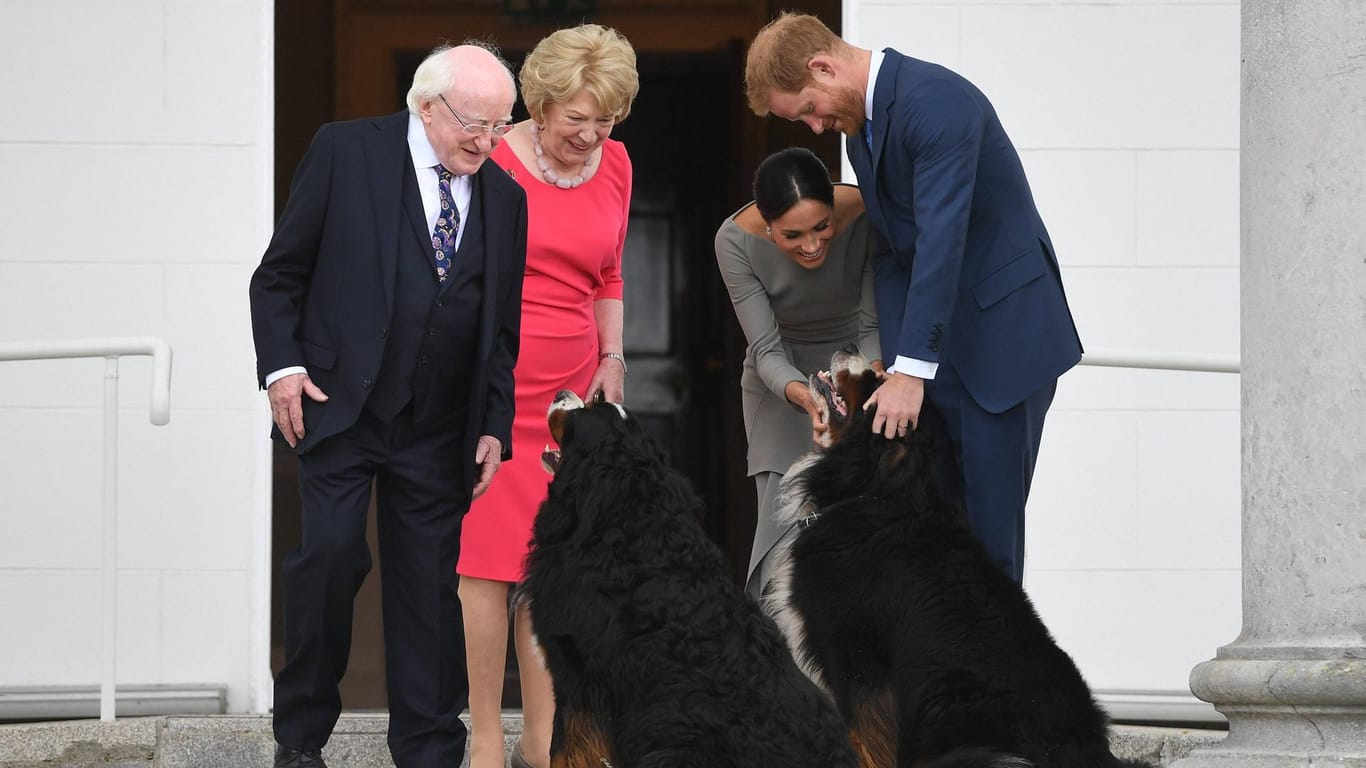 Ein Herz für Tiere: Herzogin Meghan und Prinz Harry versorgen die beiden Vierbeiner mit Streicheleinheiten.