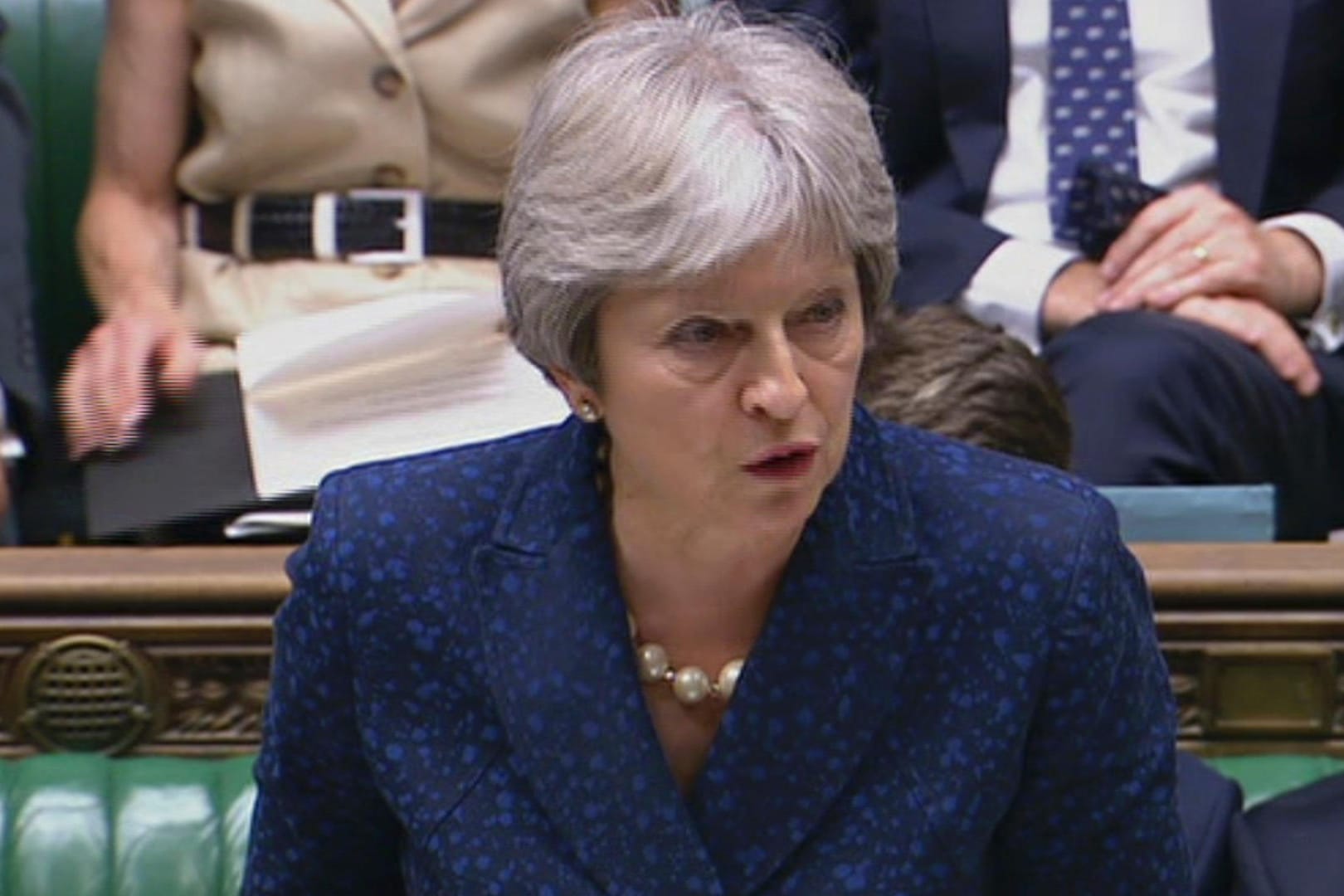 Bei der Vorstellung von Mays Brexit-Plänen kam es zum Chaos. Die Premierministerin will ein umfangreiches Handelsabkommen mit der EU – dafür gibt es Kritik.