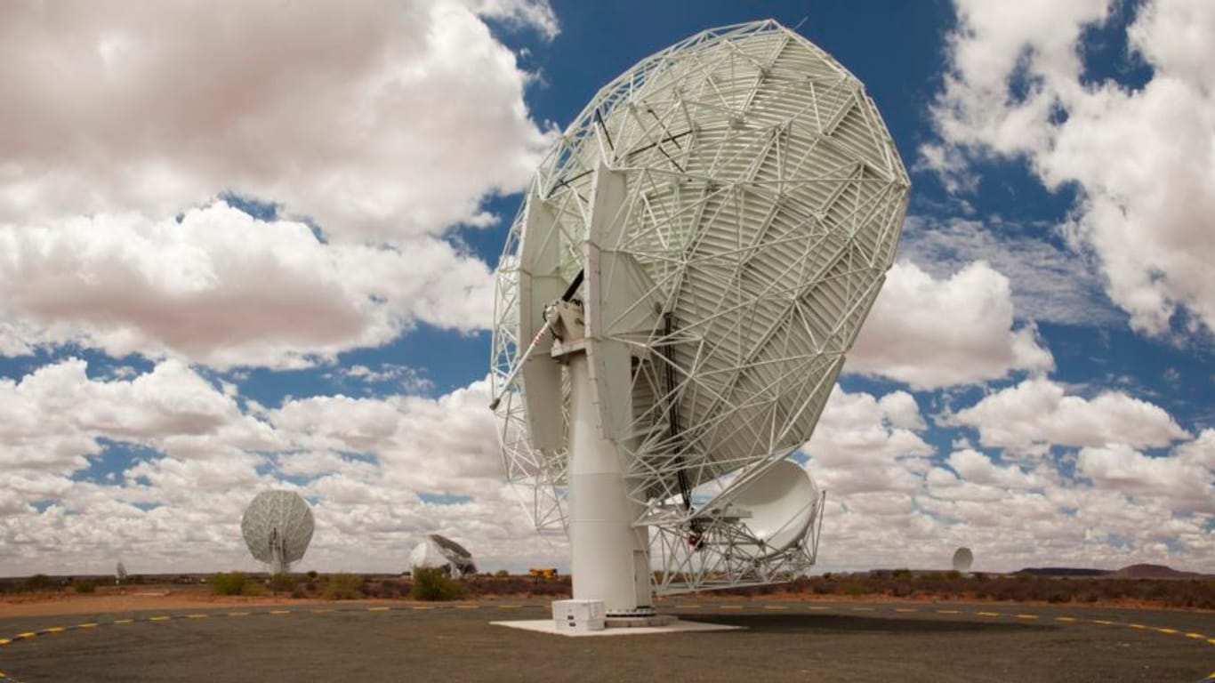 Das 280 Millionen Euro teure Radioteleskop Meerkat wird heute eröffnet.