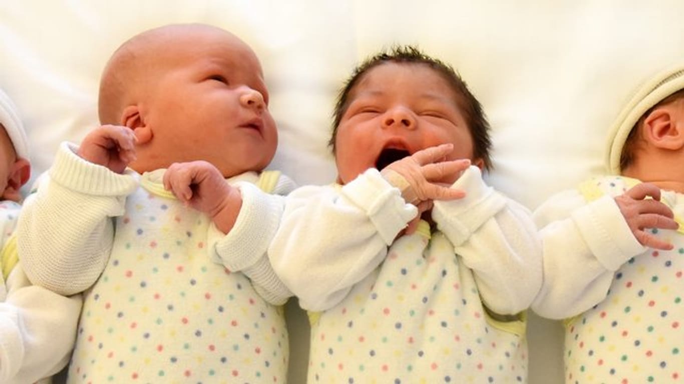 Auf der Wochenstation an der Universitätsklinik und Poliklinik für Geburtshilfe in Halle liegen Neugeborenen nebeneinander.