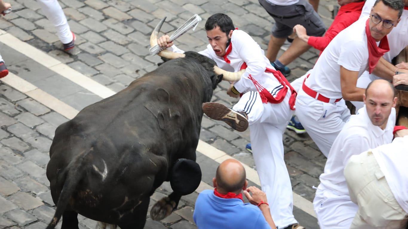 Stierhatz in Pamplona: Ein Teilnehmer wird während der Stierhatz in den Gassen von Pamplona von einem Stier aufgespießt.