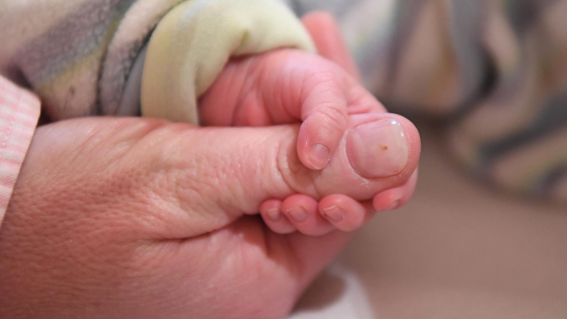 Babyhand umfasst einen Daumen: Frauen in Deutschland haben 2017 etwas weniger Babys geboren als 2016.