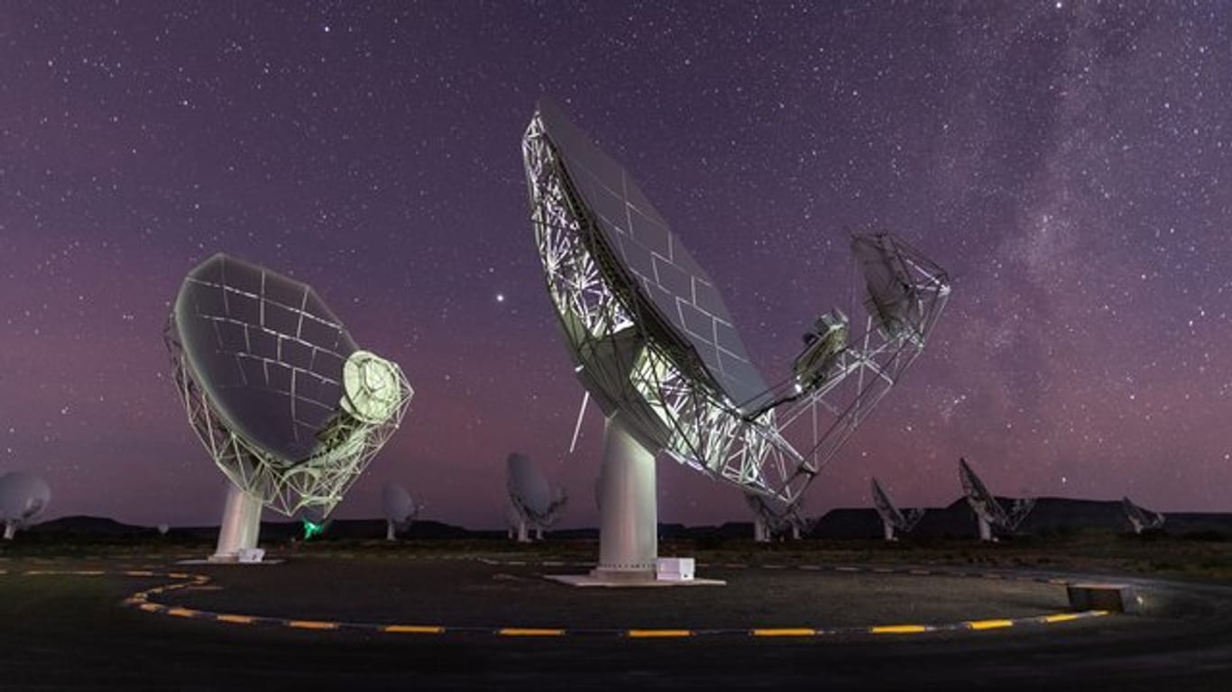 Mehrere Antennen des Meerkat-Radioteleskops stehen in der Halbwüste Karoo.