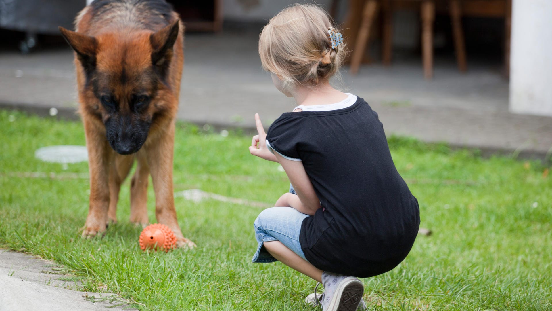 Hundeerziehung: Ab etwa acht Jahren können Kinder Umgangsregeln mit einem Hund eigenständig umsetzen.