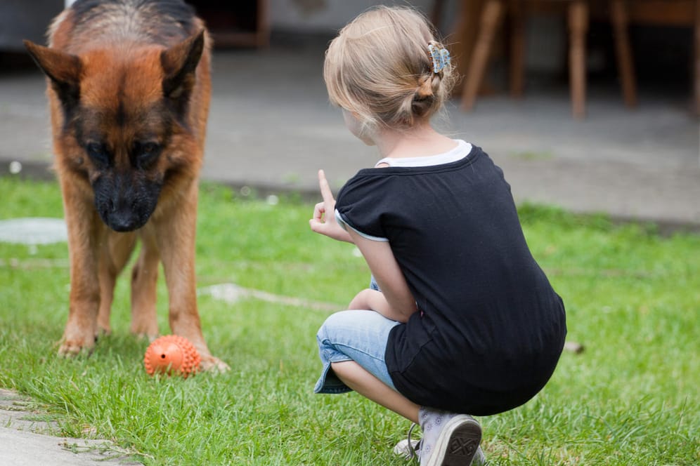 Hundeerziehung: Ab etwa acht Jahren können Kinder Umgangsregeln mit einem Hund eigenständig umsetzen.