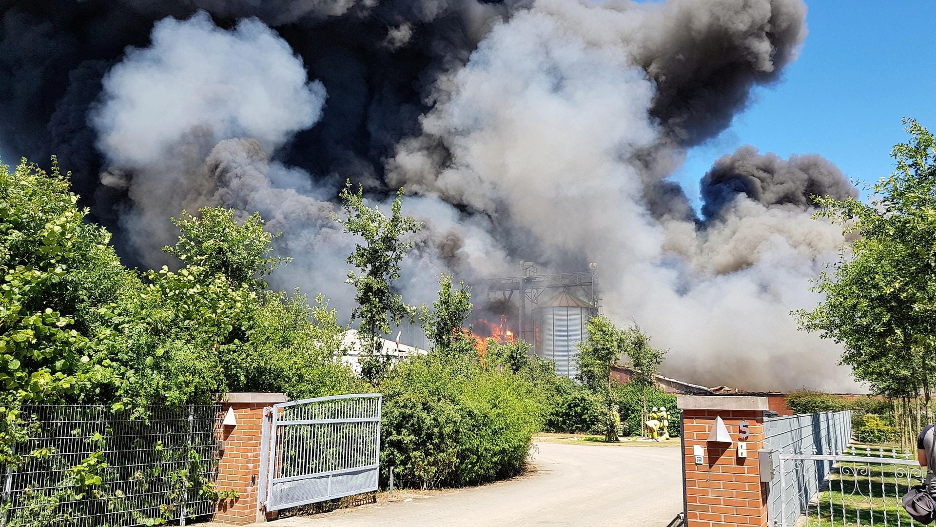 Qualm steigt auf beim Brand eines Bauernhofs in Rheine: Die Brandursachen bleiben nach wie vor unbekannt. 8000 Schweine haben den Brand nicht überlebt.