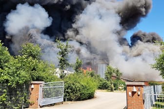 Qualm steigt auf beim Brand eines Bauernhofs in Rheine: Die Brandursachen bleiben nach wie vor unbekannt. 8000 Schweine haben den Brand nicht überlebt.
