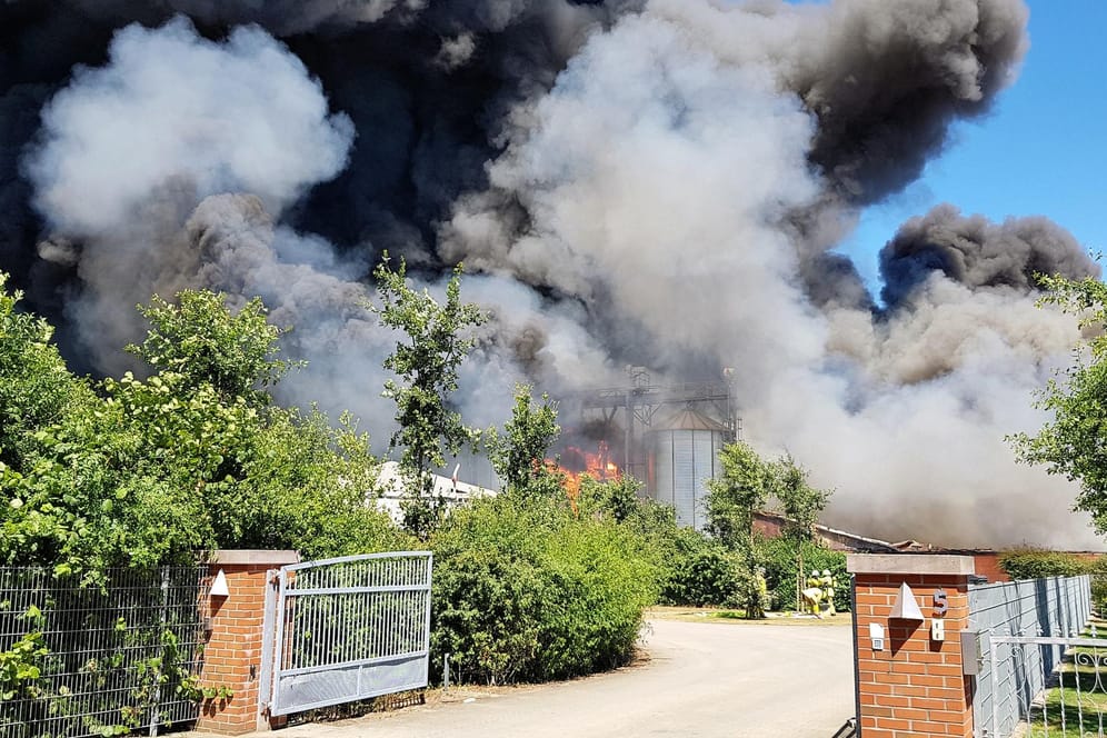 Qualm steigt auf beim Brand eines Bauernhofs in Rheine: Die Brandursachen bleiben nach wie vor unbekannt. 8000 Schweine haben den Brand nicht überlebt.