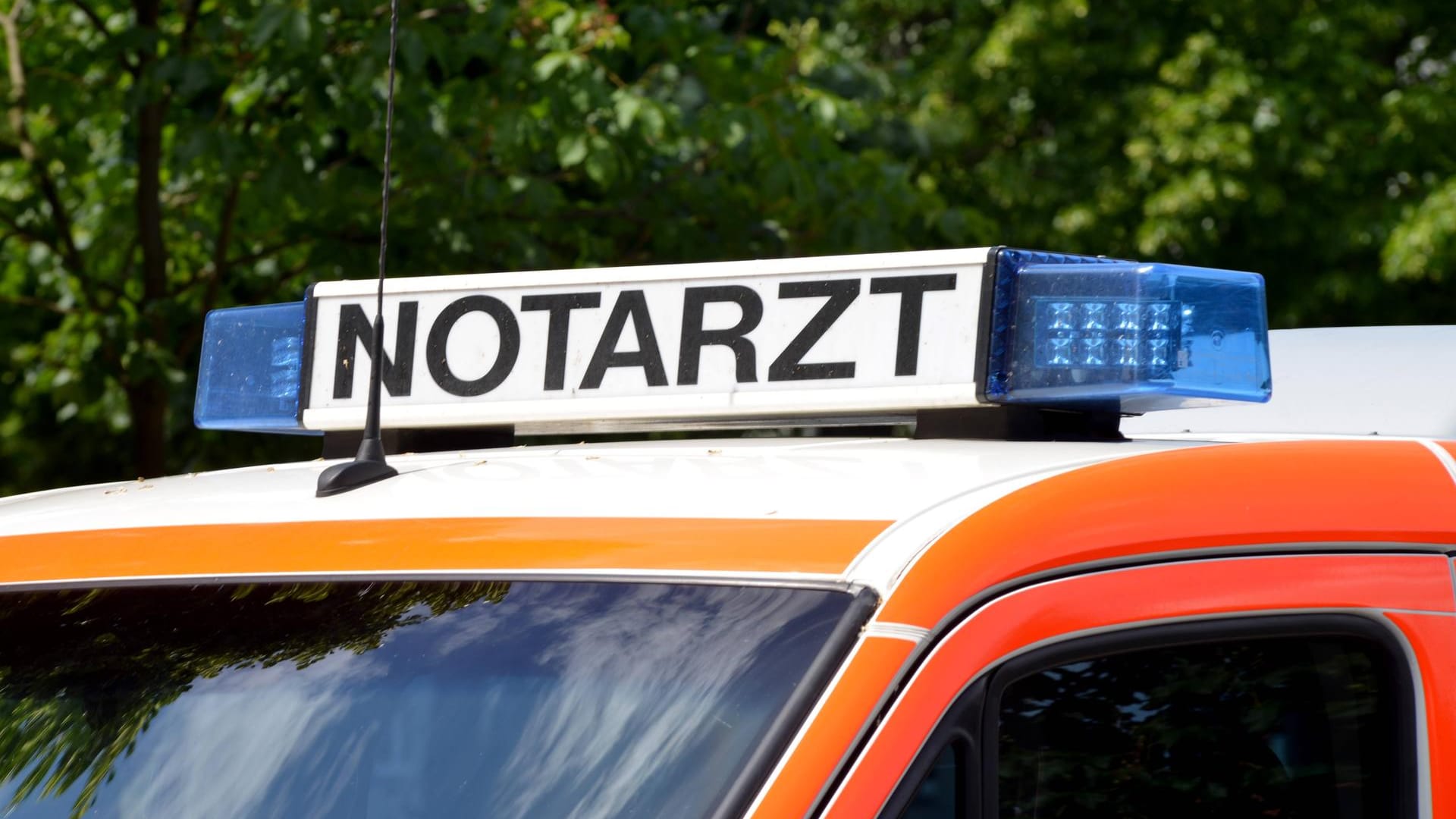 Ein Notarztwagen: Eine Frau starb, ein 53-Jähriger und seine Beifahrerin kamen mit schweren Verletzungen ins Krankenhaus. (Symbolbild) Ein Notarztwagen: Eine Frau starb, ein 53-Jähriger und seine Beifahrerin kamen mit schweren Verletzungen ins Krankenhaus. (Symbolbild)