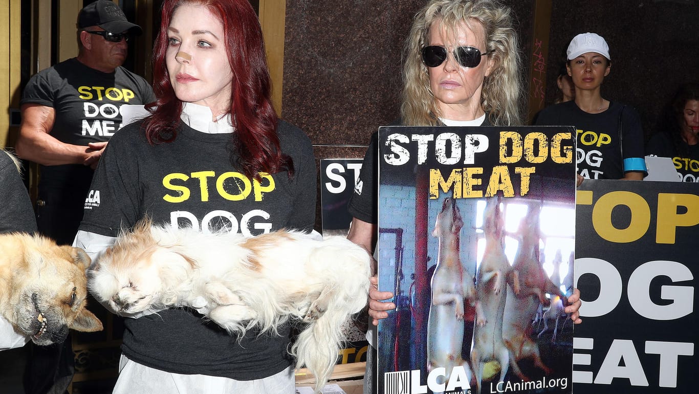 Priscilla Presley und Kim Basinger: Sie protestieren gegen Hundefleisch-Handel in Südkorea.