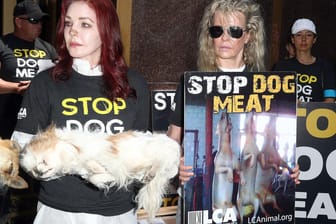 Priscilla Presley und Kim Basinger: Sie protestieren gegen Hundefleisch-Handel in Südkorea.