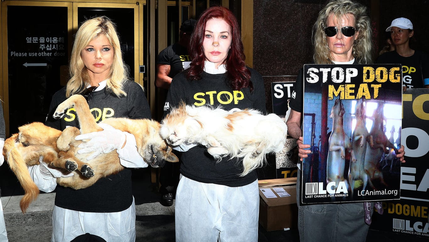 Demonstration in Los Angeles: Priscilla Presley und Kim Baisinger greifen zu drastischen Methoden.