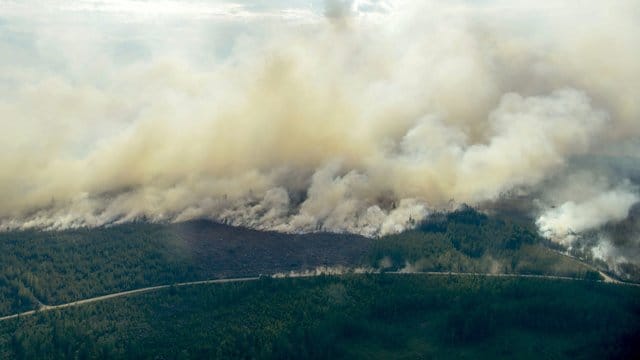 Über das ganze Land verteilt wüten rund 40 verschieden Feuer.