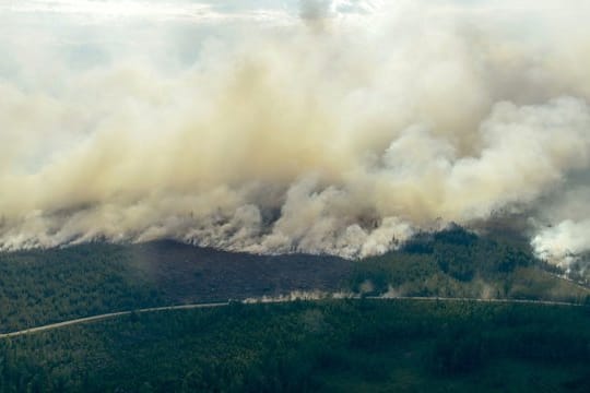 Über das ganze Land verteilt wüten rund 40 verschieden Feuer.