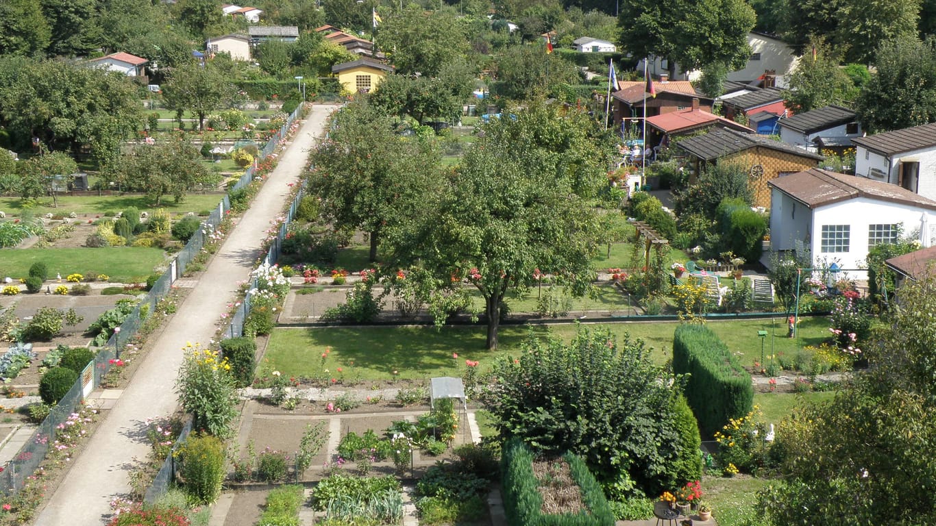 Die Kleingartenanlage in Gelsenkirchen-Bismarck: 2004 war Kanzler Gerhard Schröder hier zu Besuch.