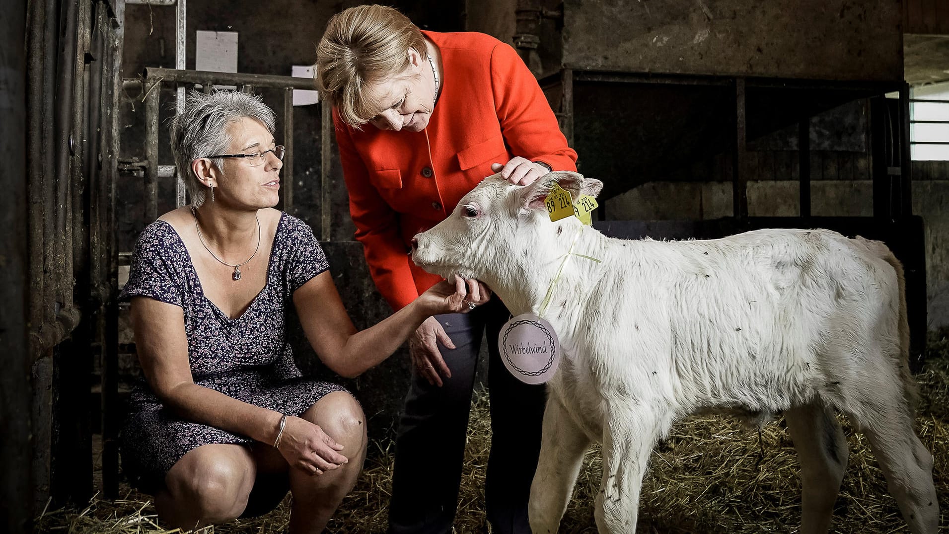 Angela Merkel und Landwirtin Ursula Trede mit dem Kalb "Wirbelwind": Die Kanzlerin löst Versprechen aus dem Wahlkampf ein – und besucht verschiedene Menschen in Deutschland.