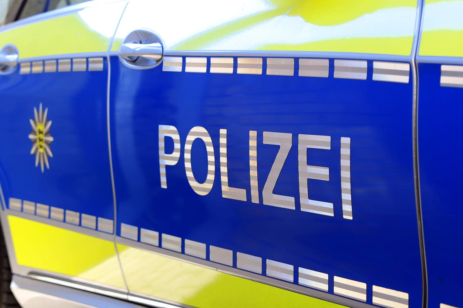 Polizeiauto (Symbolfoto): Die Konzertveranstalter waren über das Verhalten der Rapper "fassungslos und wütend".