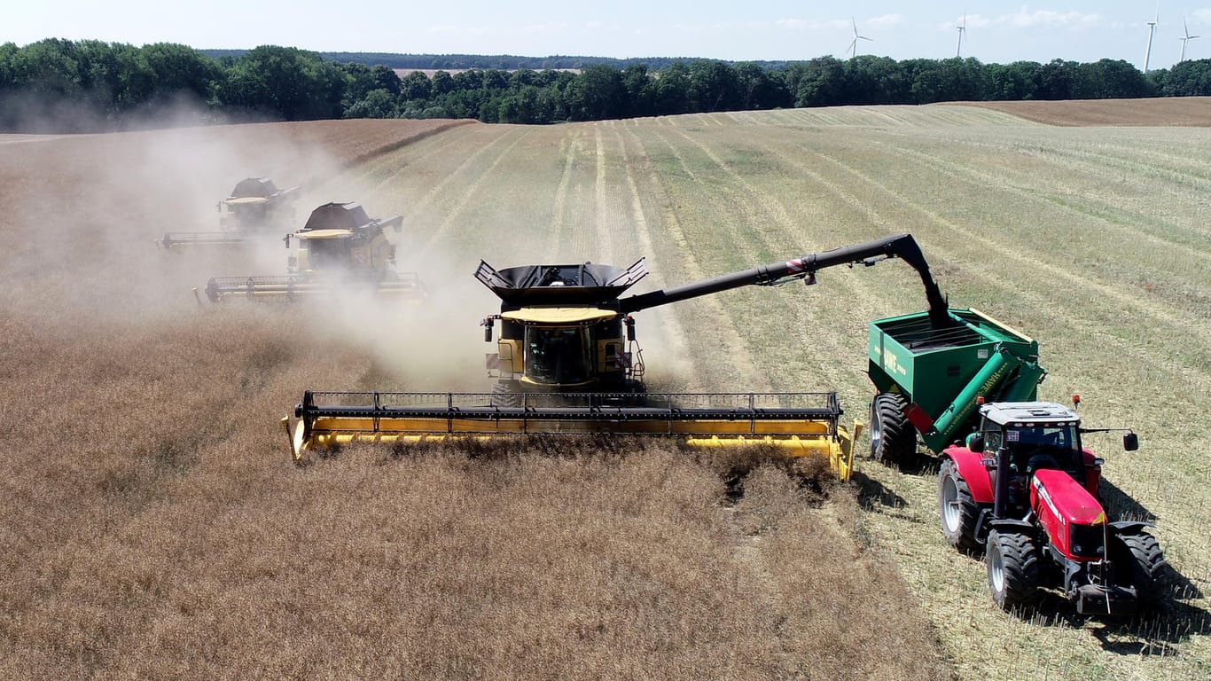 Getreide-Ernte in Mecklenburg-Vorpommern: In Bayern ist ein Helfer unter Getreide verschüttet worden.