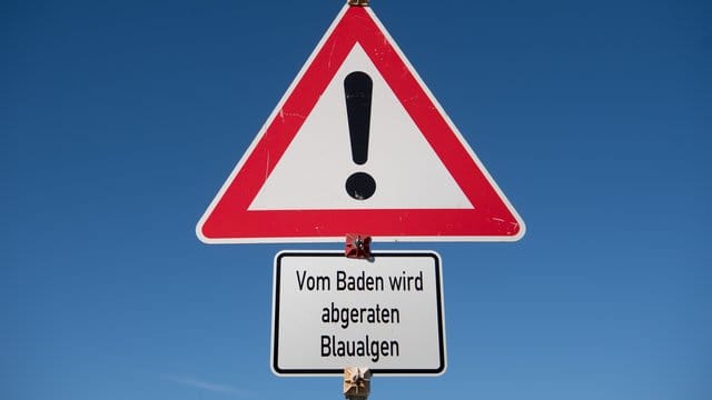 Badewarnung: Durch die warmen Temperaturen vermehren sich gesundheitsschädliche Bakterien in der Ostsee besonders schnell.