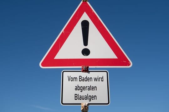 Badewarnung: Durch die warmen Temperaturen vermehren sich gesundheitsschädliche Bakterien in der Ostsee besonders schnell.