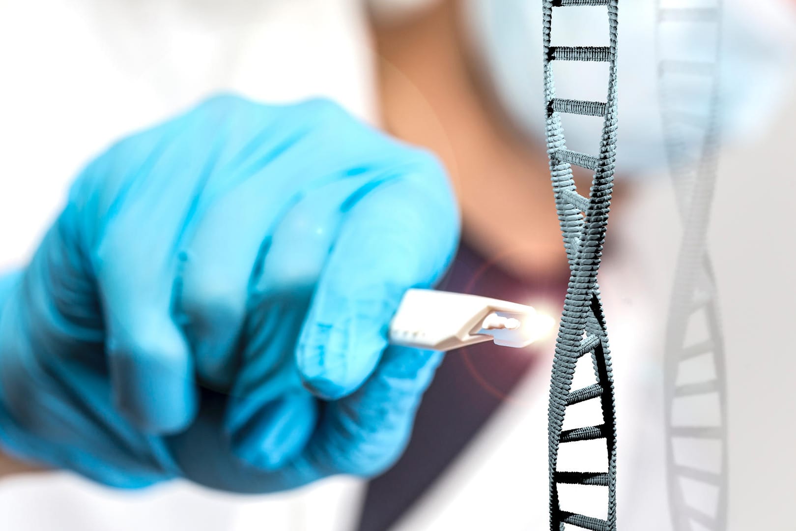 Crispr: US-Forscher haben bei Speisepilzen die Genabschnitte ausgeschaltet, die für die Bräunung nach dem Anschneiden verantwortlich sind.