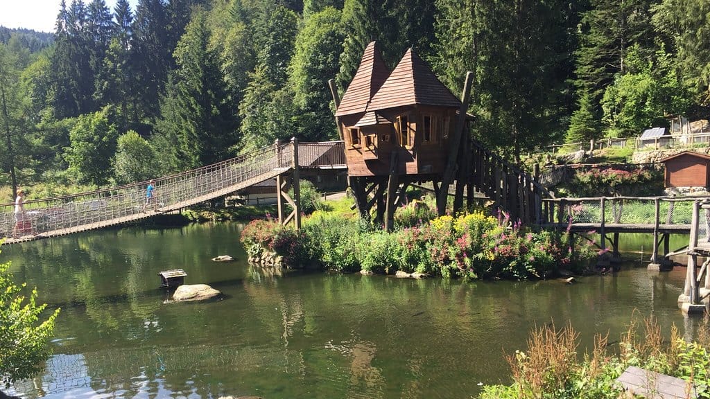 Steinwasenpark: Er bietet Wildtiergehege und Landschaftspark in einem. Das macht ihn zum perfekten Ausflugsziel für Familien mit Kindern.