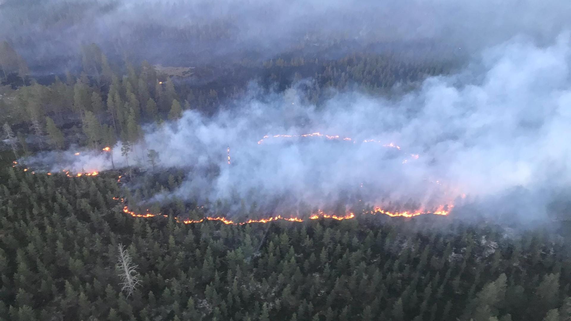 Die Brände in der schwedischen Region Dalarna: In dieser Region liegt auch Älvdalen, wo die Bombe abgeworfen wurde.