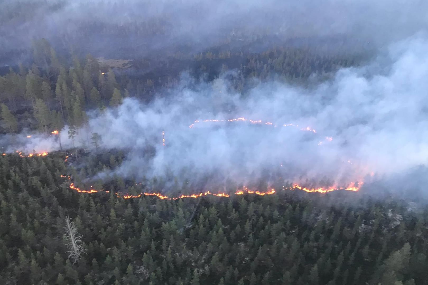 Die Brände in der schwedischen Region Dalarna: In dieser Region liegt auch Älvdalen, wo die Bombe abgeworfen wurde.