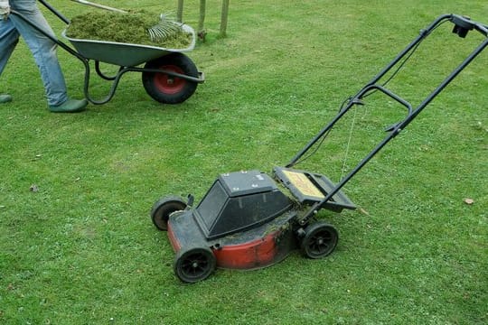 Rasenmähen sollten Gartenbesitzer im Sommer besser in den Abendstunden und nicht in der Mittagshitze.