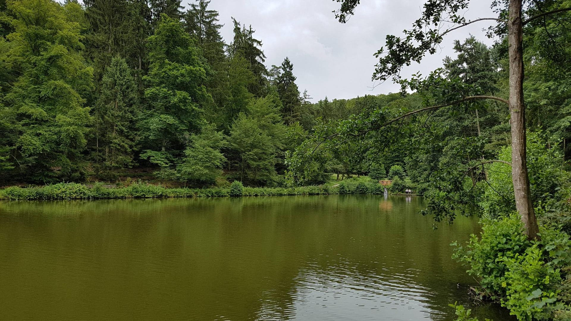 Ein Fischteich in Bad Schwalbach, Hessen (Symbolbild): Kleine Teiche sind für ihre Ruhe bekannt. Ganz anders kann das Bild aussehen, wenn plötzlich ein Auto in so einem Teich landet.