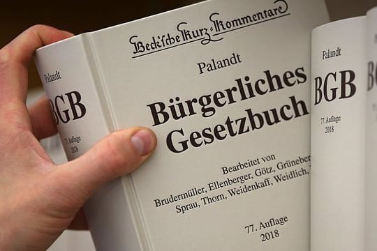 Laut BGB haften Minderjährige nicht für Schäden mit anderen Kraftfahrzeugen, wenn sie das siebte, aber nicht das zehnte Lebensjahr vollendet haben.