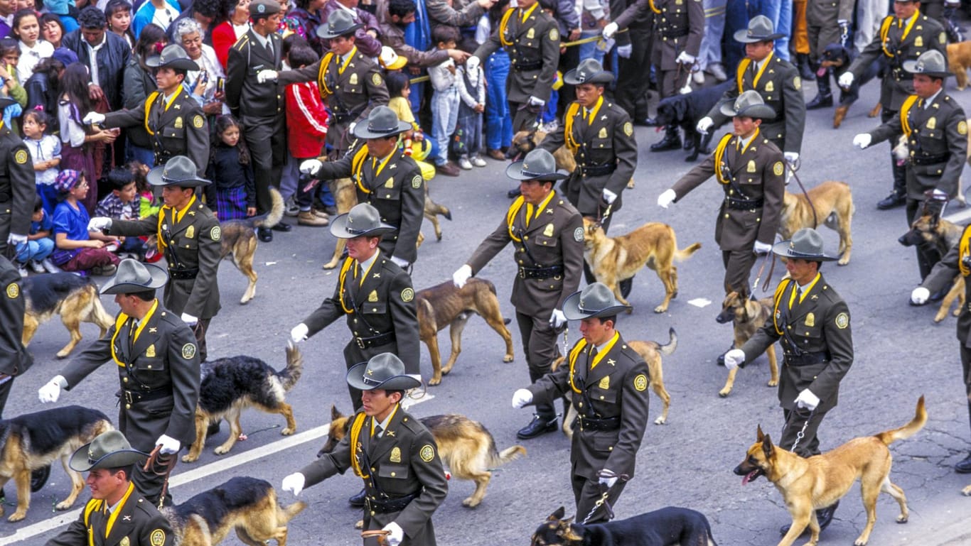 Bei einer Militärparada in Bogotá laufen auch die Schäferhunde mit: Die gesuchte Hündin Sombra erhielt kürzlich eine Ehrenmedaille bei einer Parade. (Archivbild)