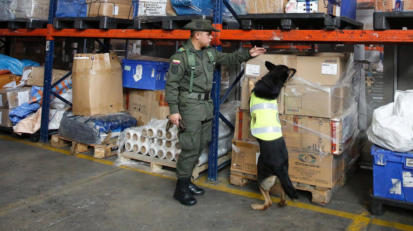 Sombra Auf Drogensuche: Zu ihrem eigenen Schutz wurde die Hündin nun an einen Flughafen versetzt und bekommt Personenschutz.