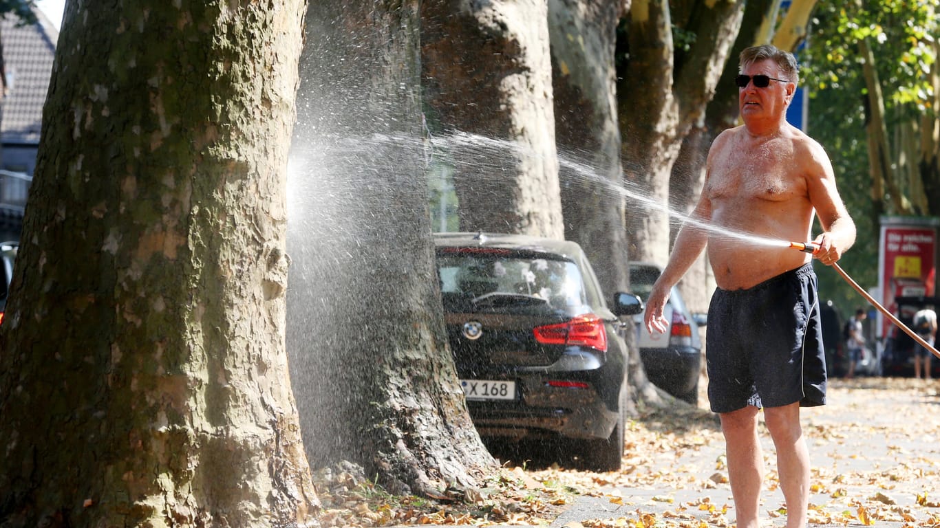 Ein Mann wässert die Platanen vor seiner Haustür in Duisburg mit dem Gartenschlauch: In Duisburg-Baerl wurden am Donnerstag 38 Grad gemessen.