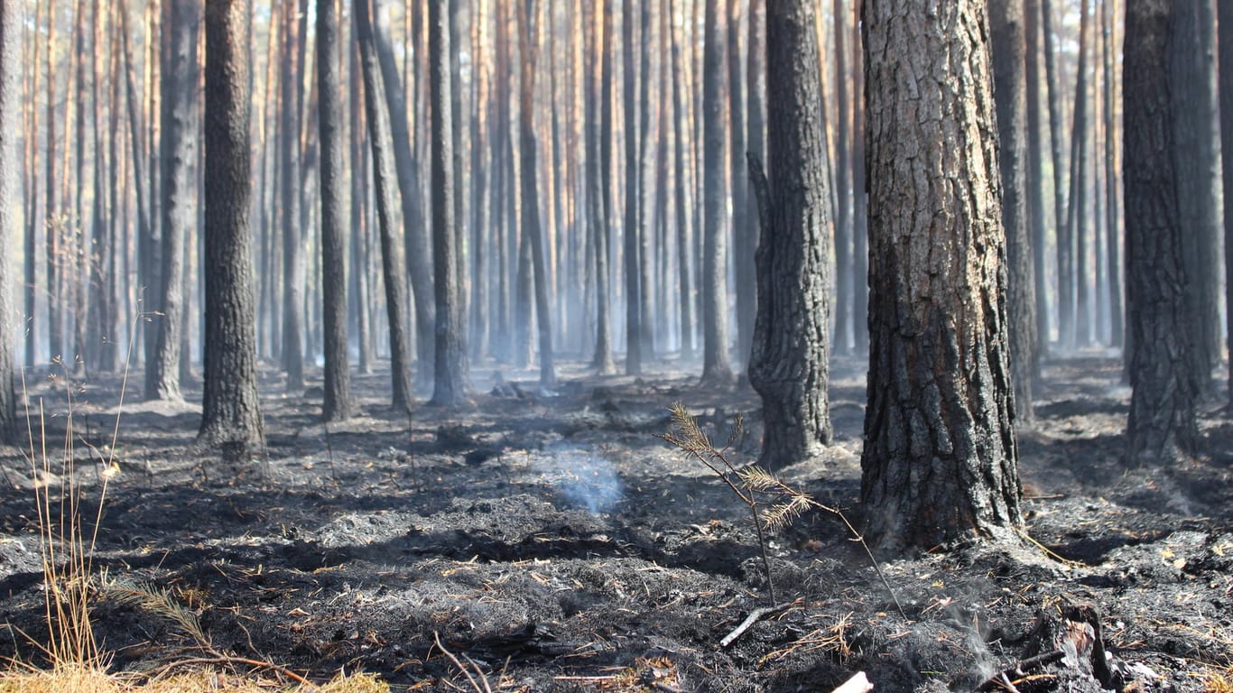 Ein vom Feuer zerstörtes Waldgebiet nahe Potsdam: Wegen eines Gaslecks müssen erneut zwei Autobahnen gesperrt und Häuser evakuiert werden.