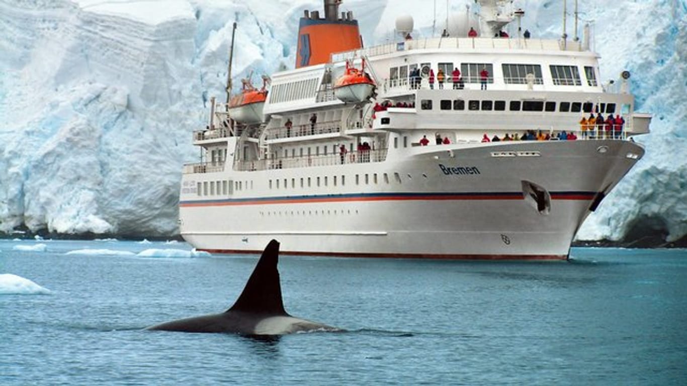 Ein Eisbär hat auf Spitzbergen ein deutsches Crew-Mitglied der "MS Bremen" angegriffen.